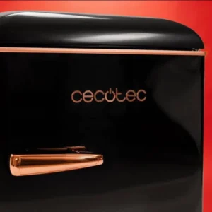 Frigorifero Cecotec 02748 110 litri 90×55 nero