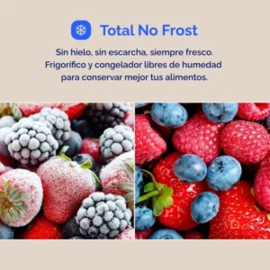 Frigorifero americano Artica AFEA17689F553I 553 L inox NoFrost