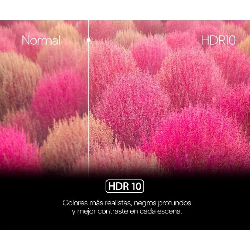 Televisione Genium 75" GTV75QLED QLED WebOS