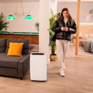 Deumidificatore Cecotec 08315 con deposito da 6 litri e capacità di deumidificazione di 30 litri/giorno